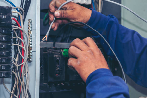 Best Generator Installation Services  in Horse Shoe, NC