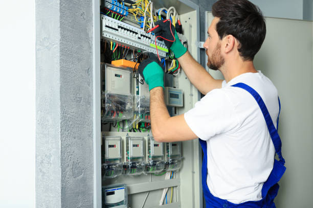 Best Electrical Repair Services  in Horse Shoe, NC