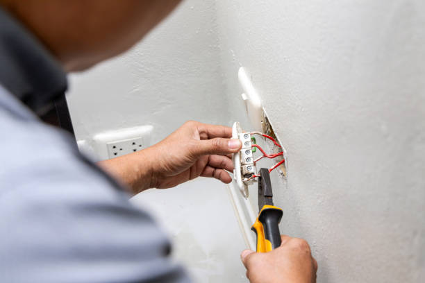 Best Electrical System Inspection  in Horse Shoe, NC